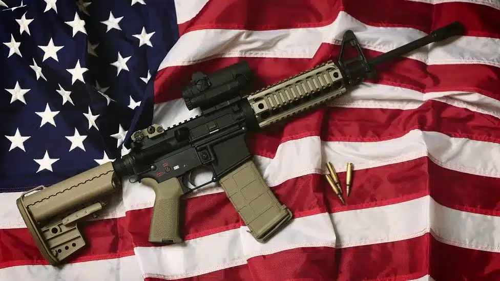 Florida Gun Laws